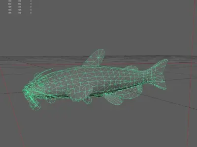 Catfish Low-poly 3D model 4