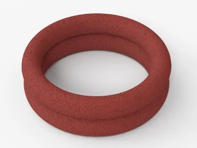 Ring Dog Toy Used 3D model