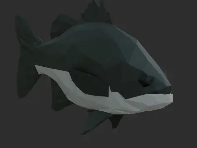 Low Poly Australian Bass Low-poly 3D model