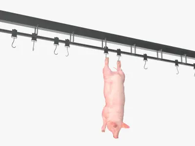  Meat Rail System with Hanging Pig Carcass 