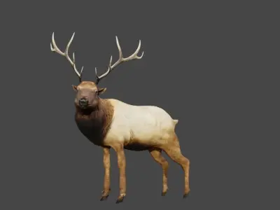 lowpoly rigged reindeer model for blender Low-poly 3D model