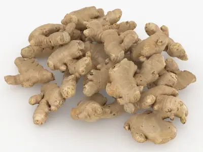 Pile Fresh Ginger Root 3D model