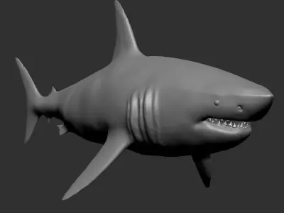 shark 3D model 13
