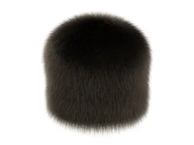 Shapka Fur Hat 3D model