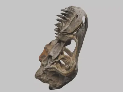 Old Damaged Stone Fossil Skull Trex Low-poly 3D model