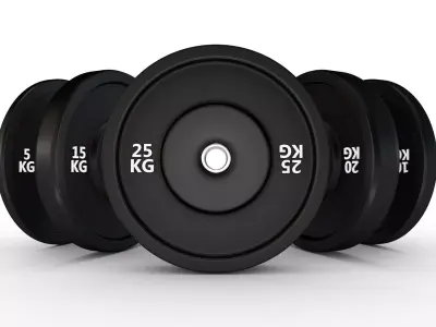 Gym Equipment Weights Set of 5 3D model