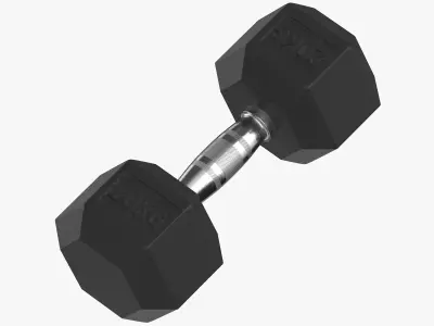 Rubber Dumbbell 20kg 3D model