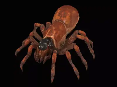 Spider 3D model 13