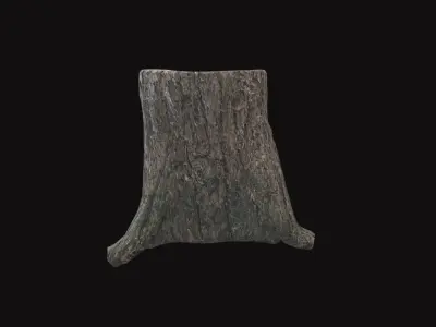 Medieval Tree Trunk V01 3D model