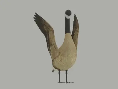 Goose 3D model purchase