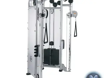 Life Fitness Signature Series Dual Adjustable Pulley 3D model