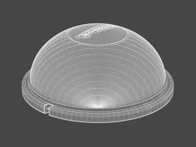 Technogym Accessories Balance Dome 3D model