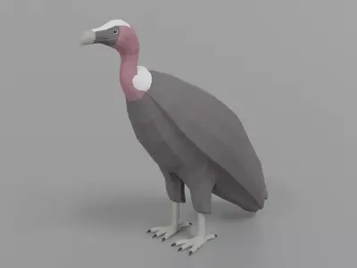 Low Poly Cartoon Vulture Low-poly 3D model