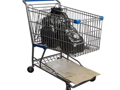 Shopping Cart high quality 3D model