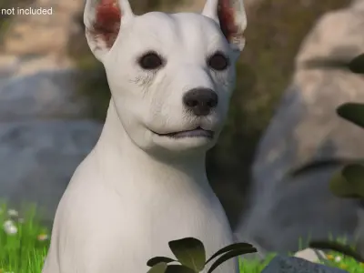  West Highland White Terrier Rigged 