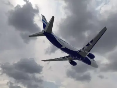 Boeing 737-800  3D print model
