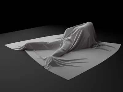 Cloth animation Low-poly 3D model