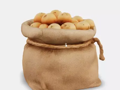 Woven Potato Sack Low-poly 3D model