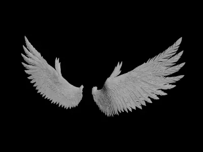 wings angel 3D model