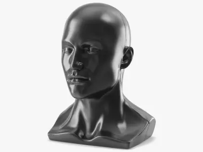  Male Display Mannequin Bust Black 