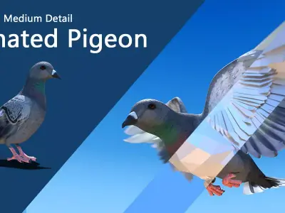 Pigeon Medium Detail Animated Free 3D model purchase