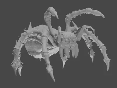 Spider 3D model 32