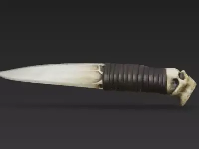 Bone Dagger of the Necromancer  Skull Pommel Ritual Knife 3D model