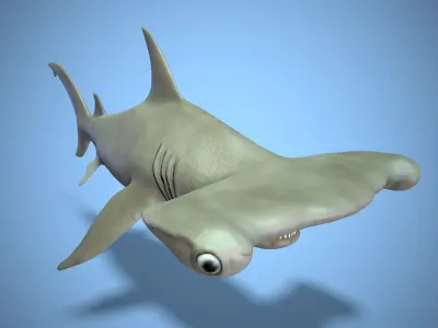 Hammerhead shark Low-poly 3D model 2
