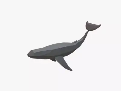 Whale low poly Low-poly 3D model