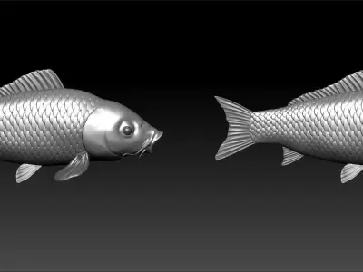 A big carp Low-poly 3D model
