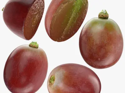 Grape Collection 2 3D model