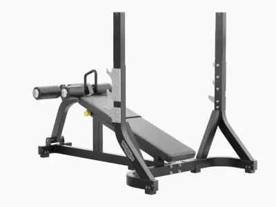 Technogym Olympic Declined Bench Pure 3D model
