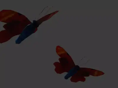 Butterfly 3D Model 3D model buy
