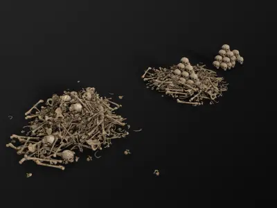 Broken Skulls with Spider Webs COLLECTION Low-poly 3D model