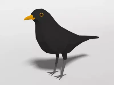 Low Poly Cartoon Blackbird Low-poly 3D model