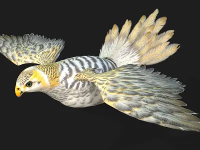 Kestrel B7 3D model