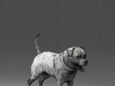 Black dog breed rottweiler 0160 3D model