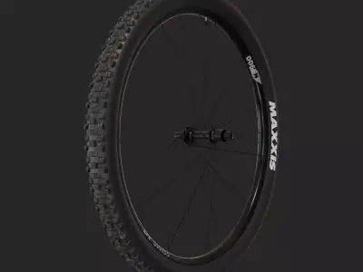 Mtb Wheel Free 3D model