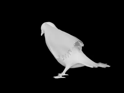 Low Poly Pigeon Low-poly 3D model
