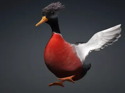 Duck-B3 3D model