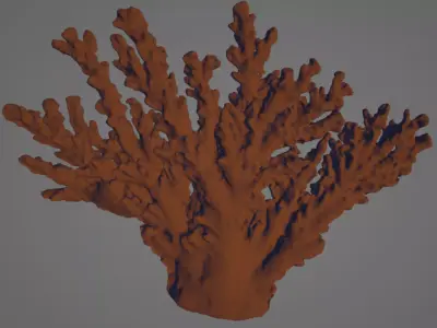 Intricate 3D scanned live Coral  3D model