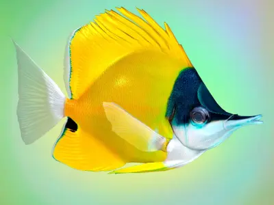 Fish Forcipiger Flavissimus Low-poly 3D model