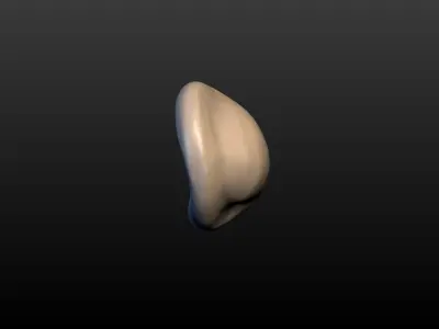 Round Ear 3D print model