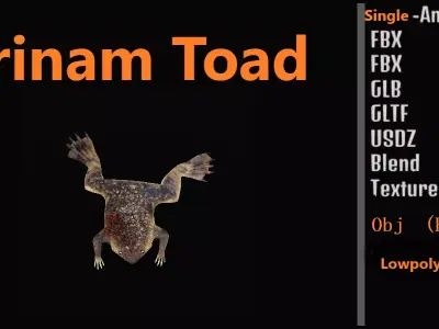Surinam Toad Free 3D model