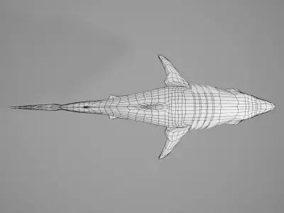 Great White Shark Low-poly 3D model 2