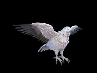 Eagle RIG 3D model