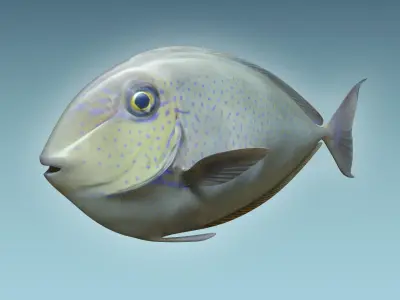 Pale Fish 2 3D model