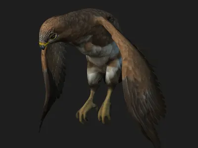 Kestrel B3 3D model