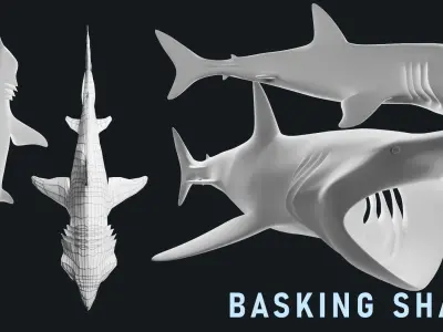 Low-Poly Shark Mesh Collection Low-poly 3D model