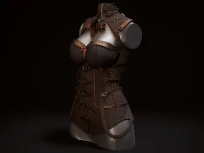  Stylized Steampunk Corset 